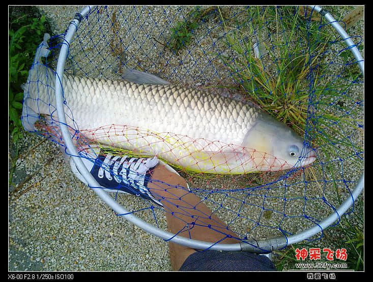 20130714711.jpg