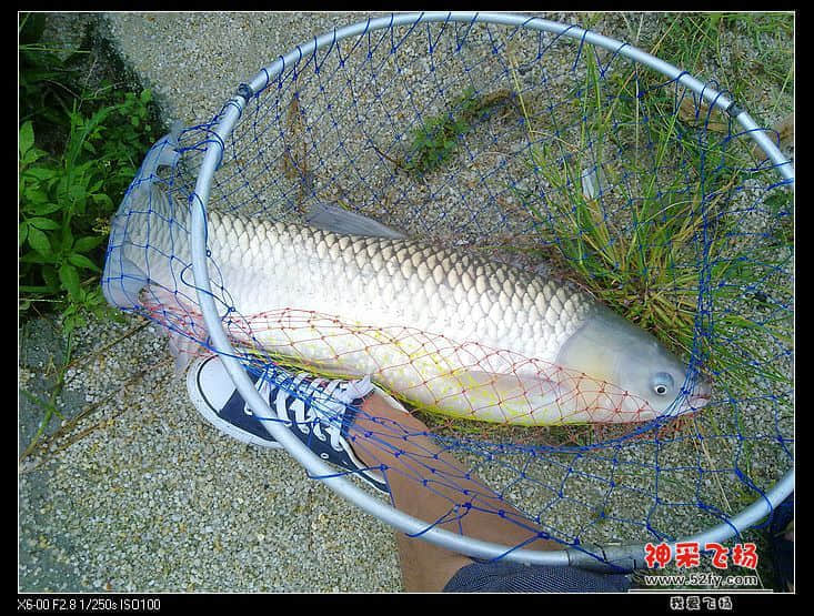 20130714712.jpg