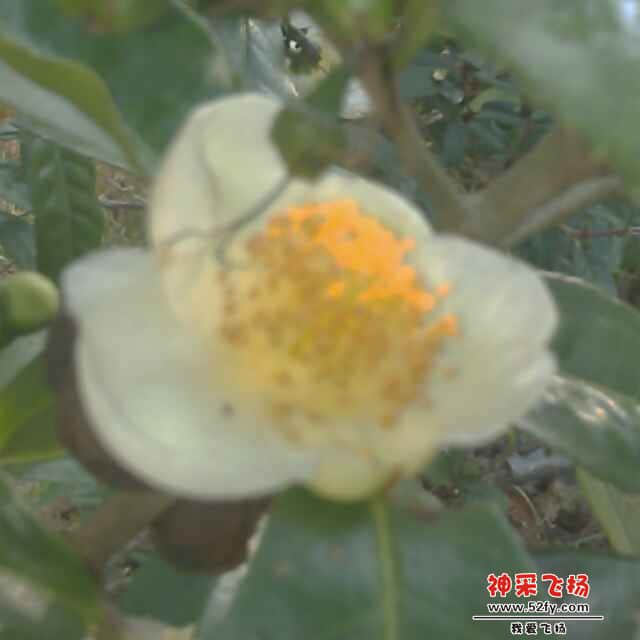 user_hd_3029d4dd6486578e5fccc30bf180bc41.png