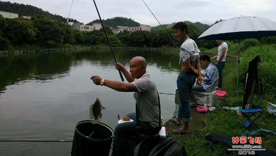 IMG_20130721_104132.jpg