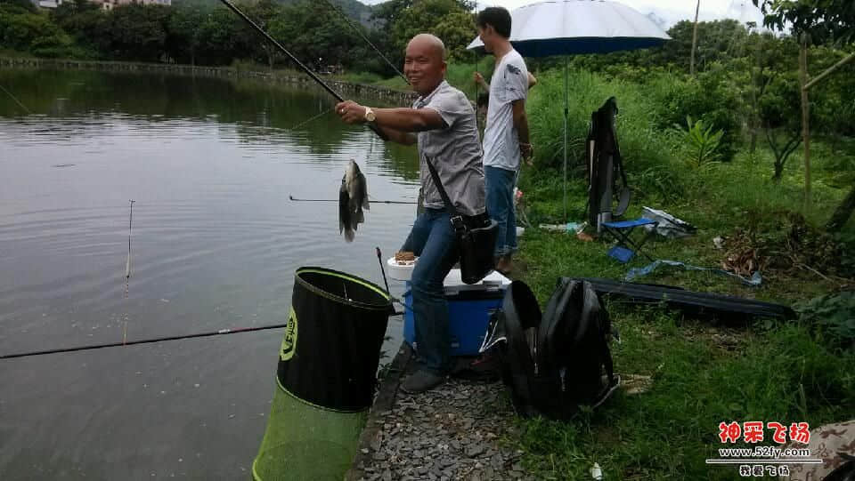 IMG_20130721_104631.jpg