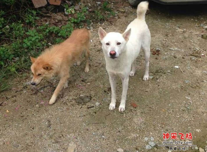 QQ图片20130722191852.jpg