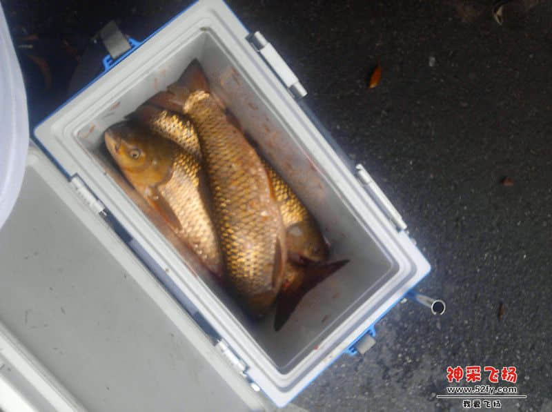 IMG_20130724_180025_副本.jpg