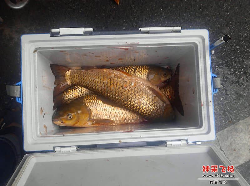 IMG_20130724_180033_副本.jpg