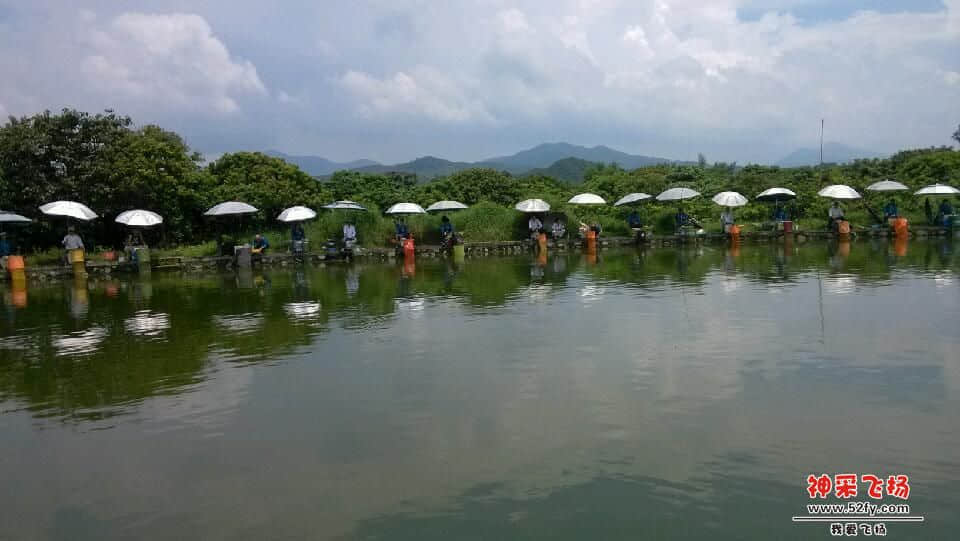 IMG_20130728_131518.jpg