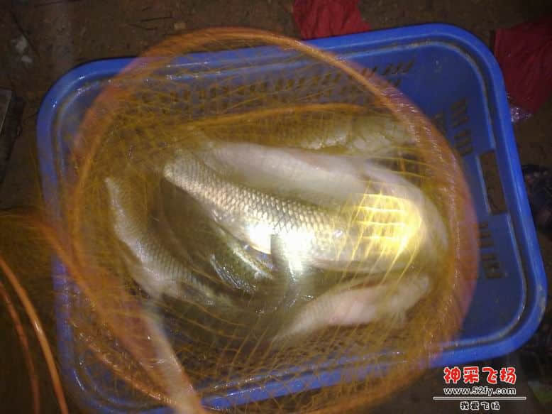 鱼获 326.jpg