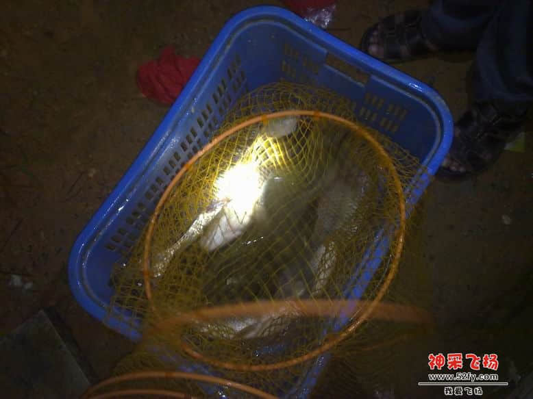 鱼获 327.jpg