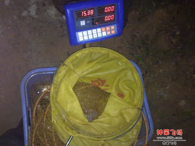 鱼获 329.jpg