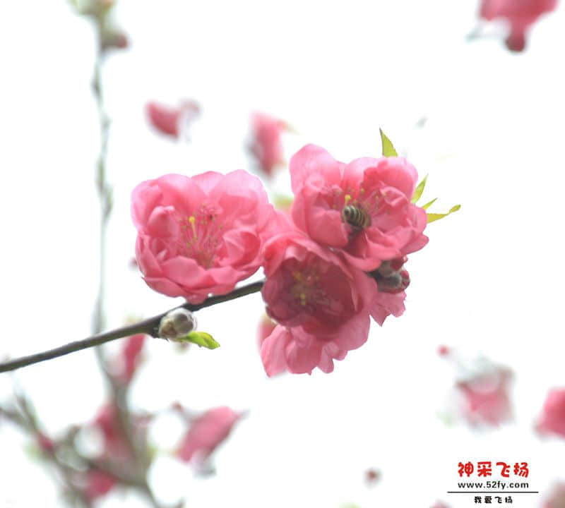 20130211 048A.jpg