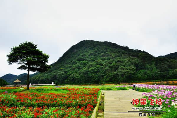 20130721 028.jpg