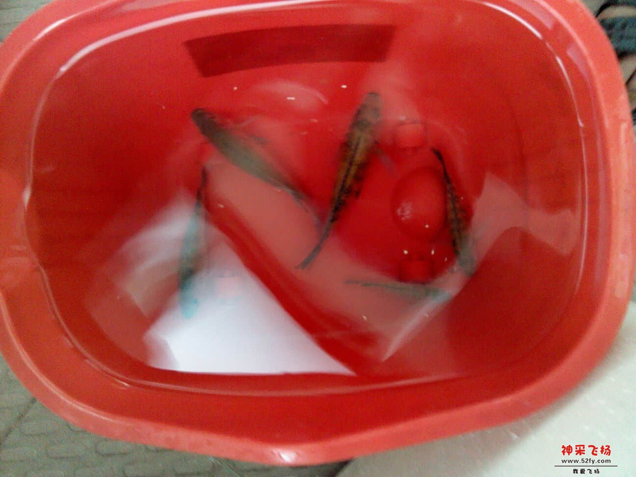 QQ图片20130819135521.jpg