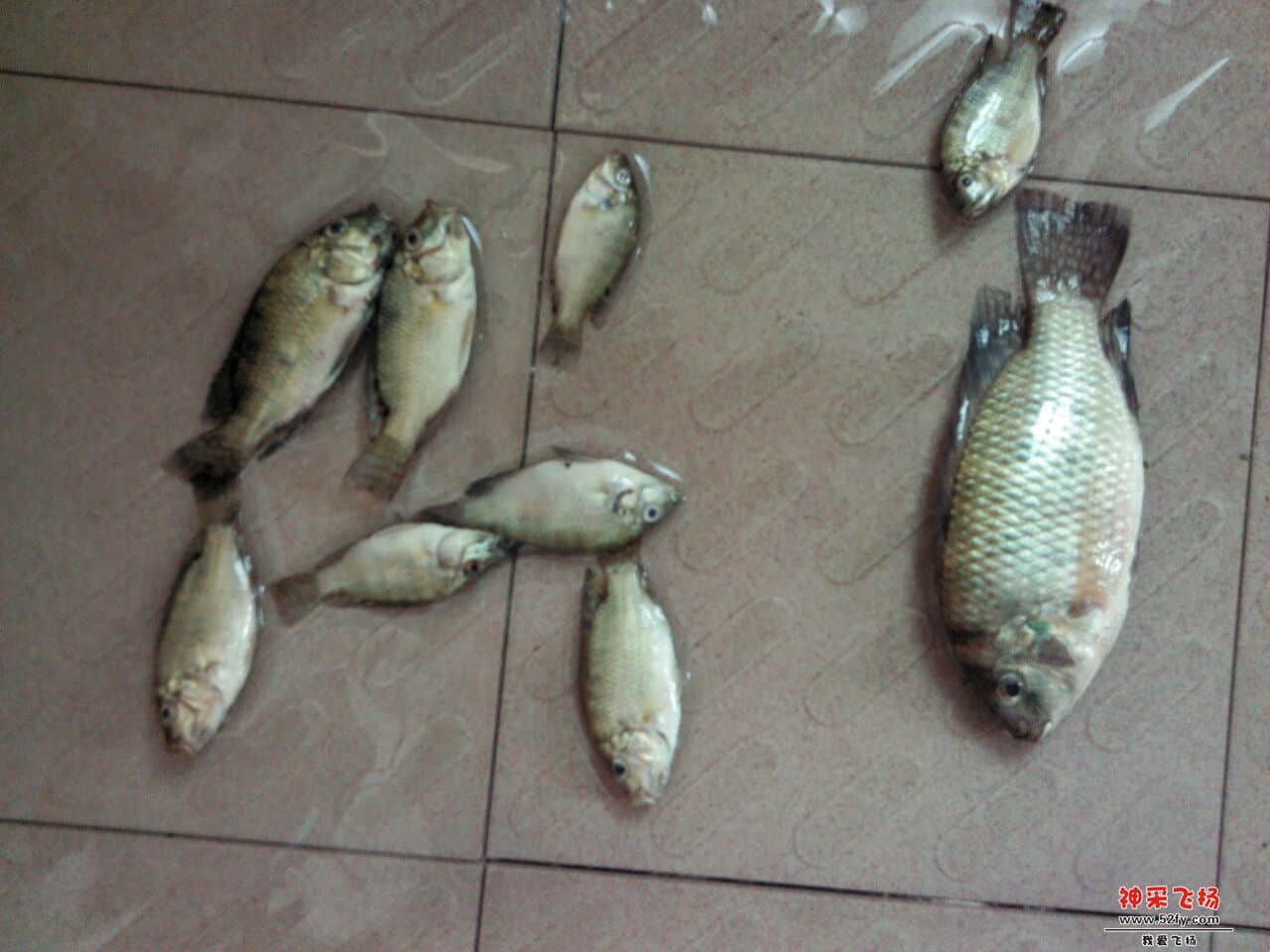 QQ图片20130821125250.jpg