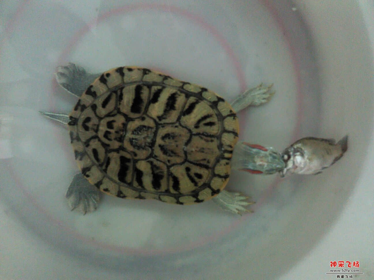 QQ图片20130821125256.jpg