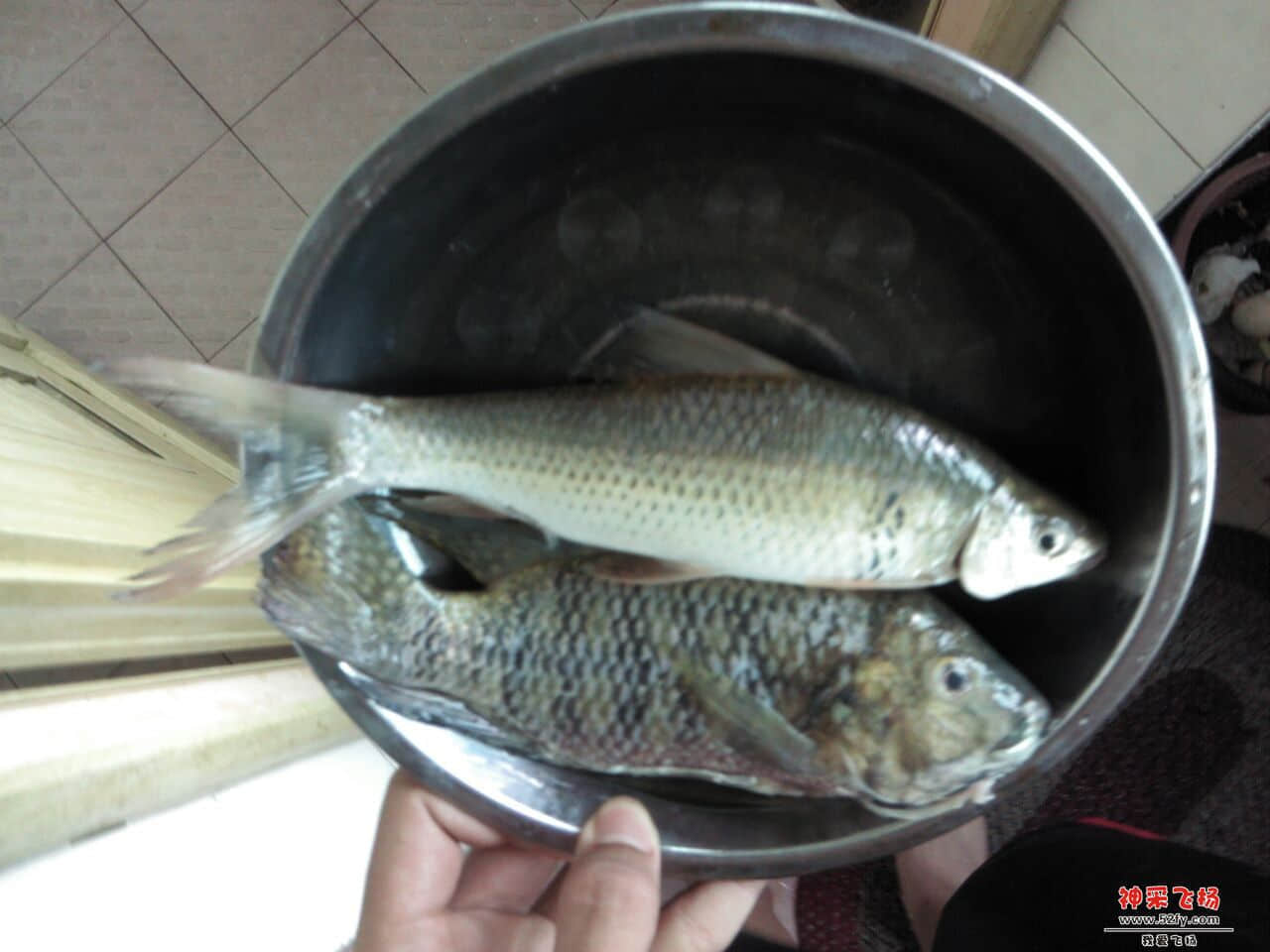 QQ图片20130821125301.jpg