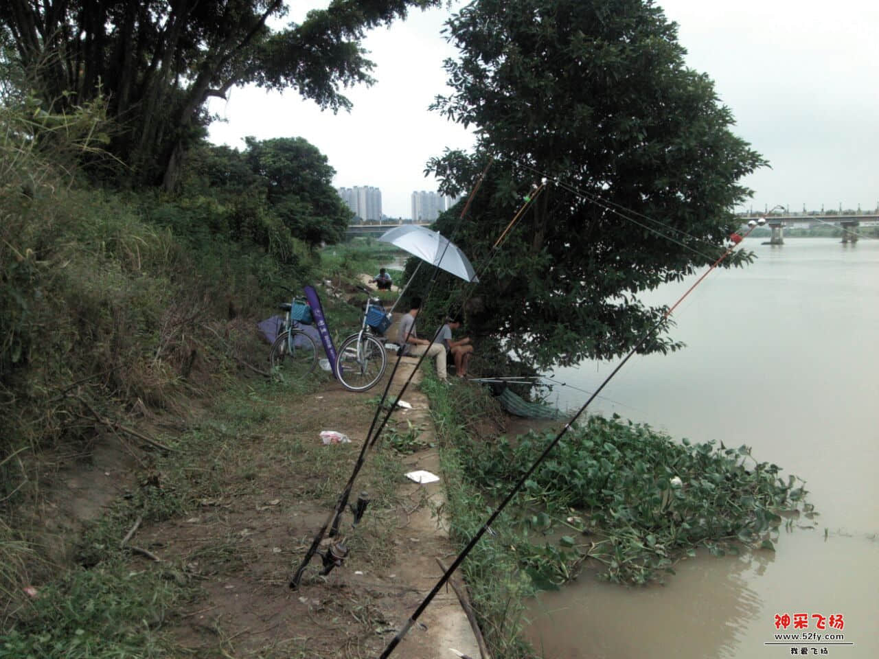 QQ图片20130824144032.jpg