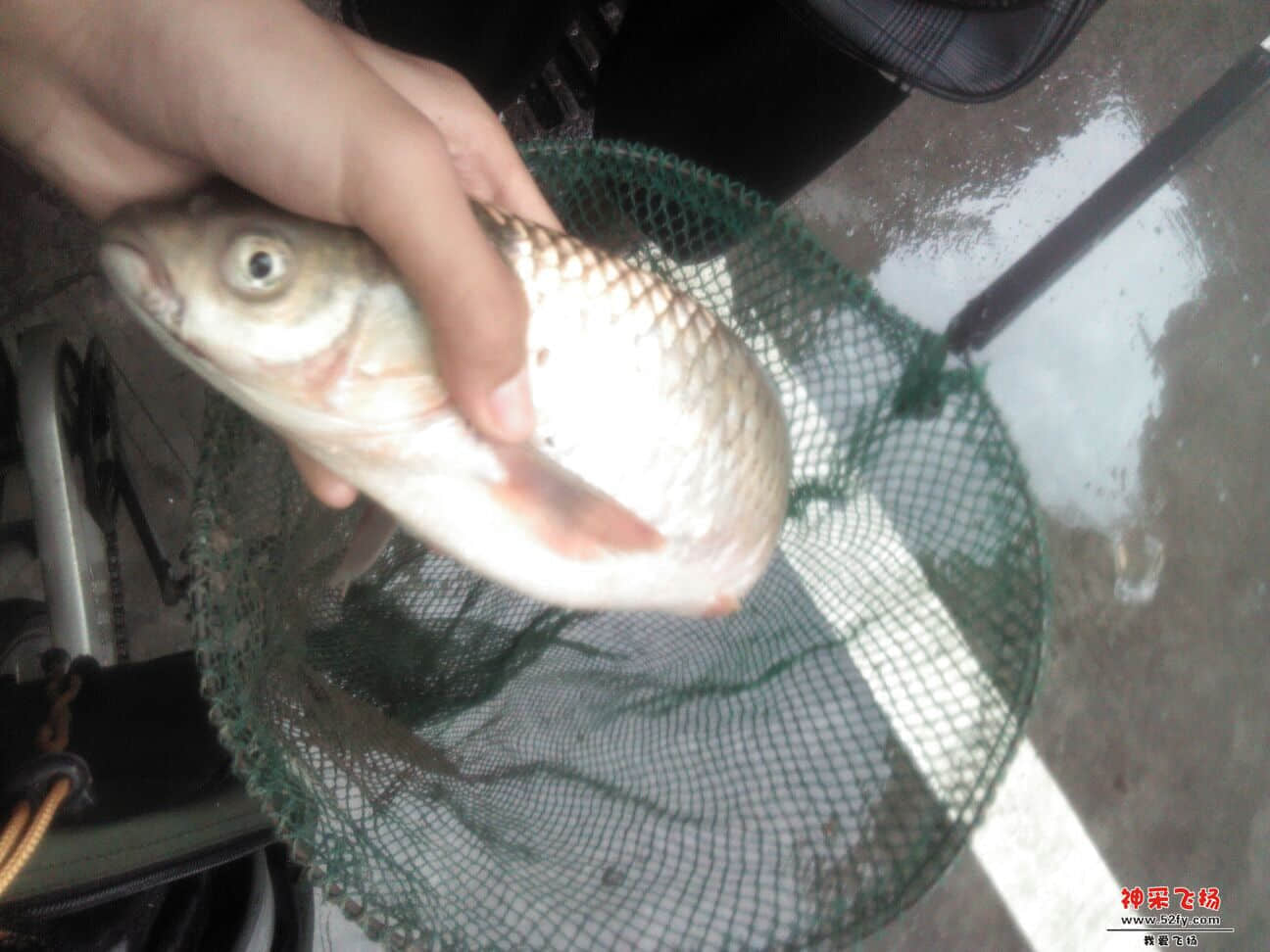 QQ图片20130824144036.jpg