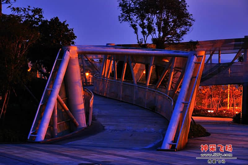 _DSC1411.jpg