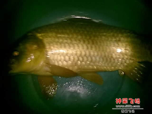 QQ图片20130902133150.jpg