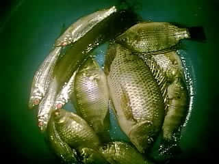QQ图片20130902133210.jpg