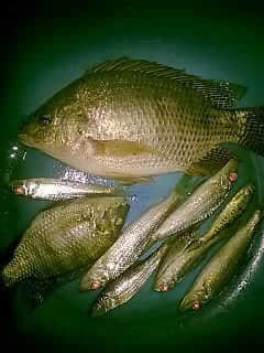QQ图片20130902133213.jpg