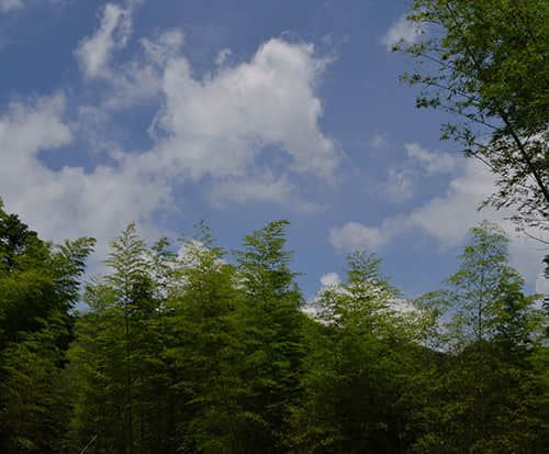 DSC_0079.jpg