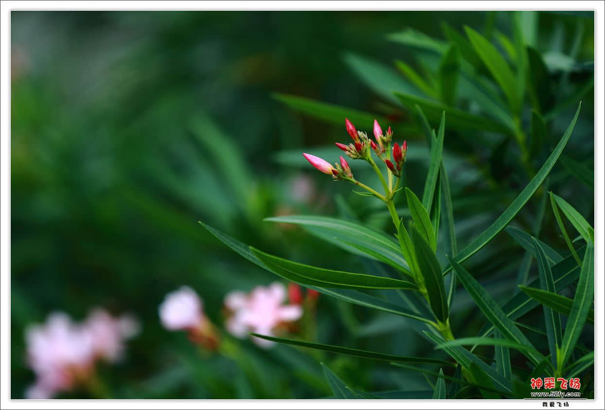 IMG_0286.jpg
