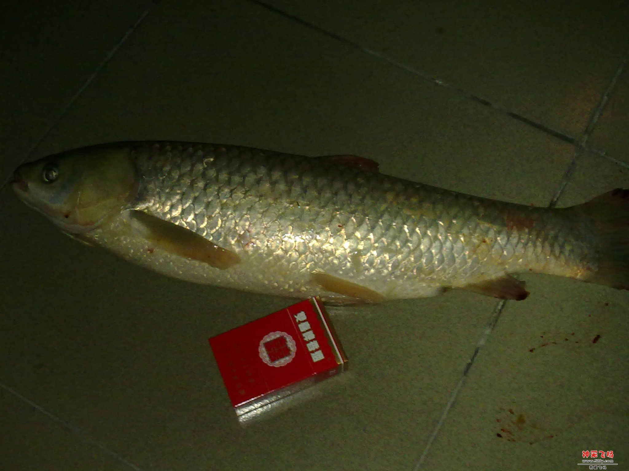 20130908378.jpg