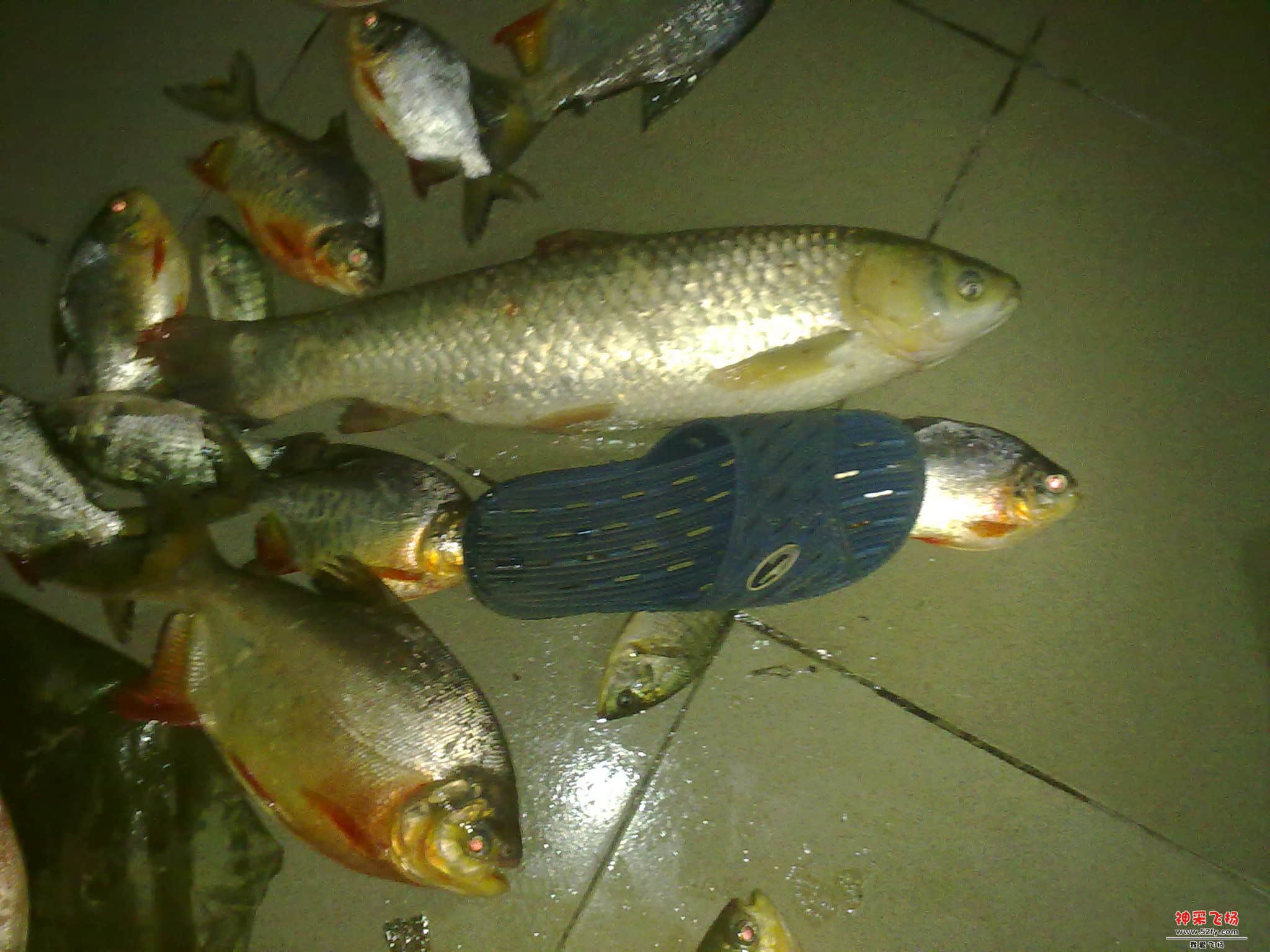 20130908375.jpg
