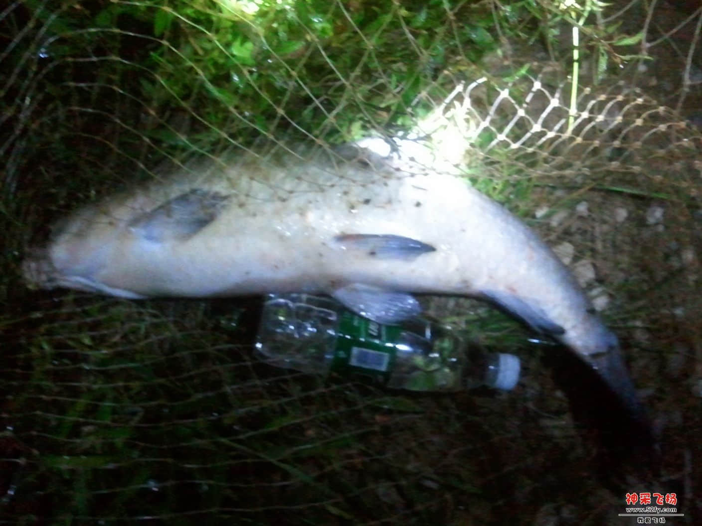 2013-09-10 22.28.36.jpg