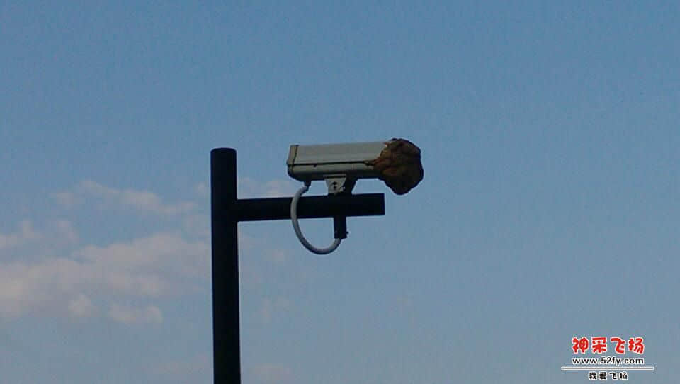 IMG_20130918_171337.jpg
