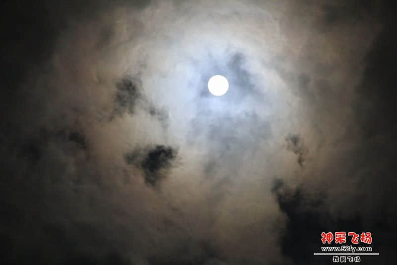 15B.JPG