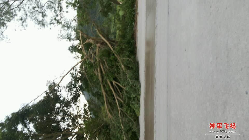 20130924_170801.jpg