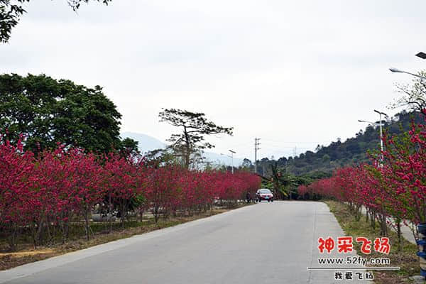 20130211 096.jpg