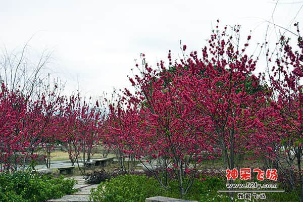 20130211 099.jpg