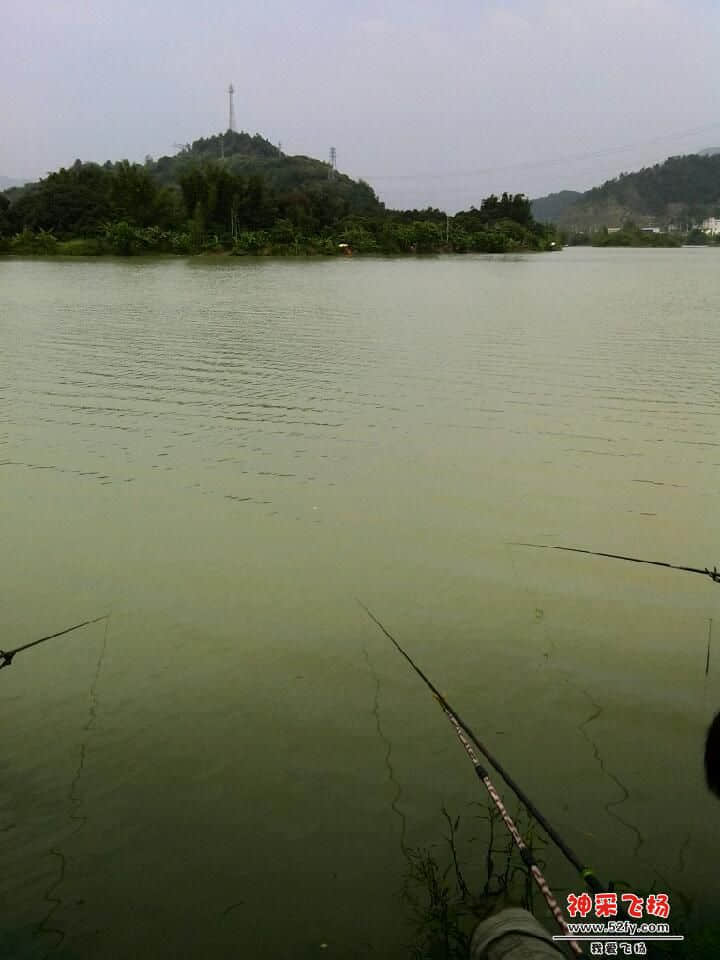 YP20130928130238.jpeg