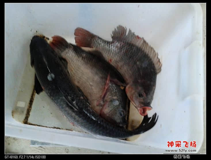 20130929_172135.jpg
