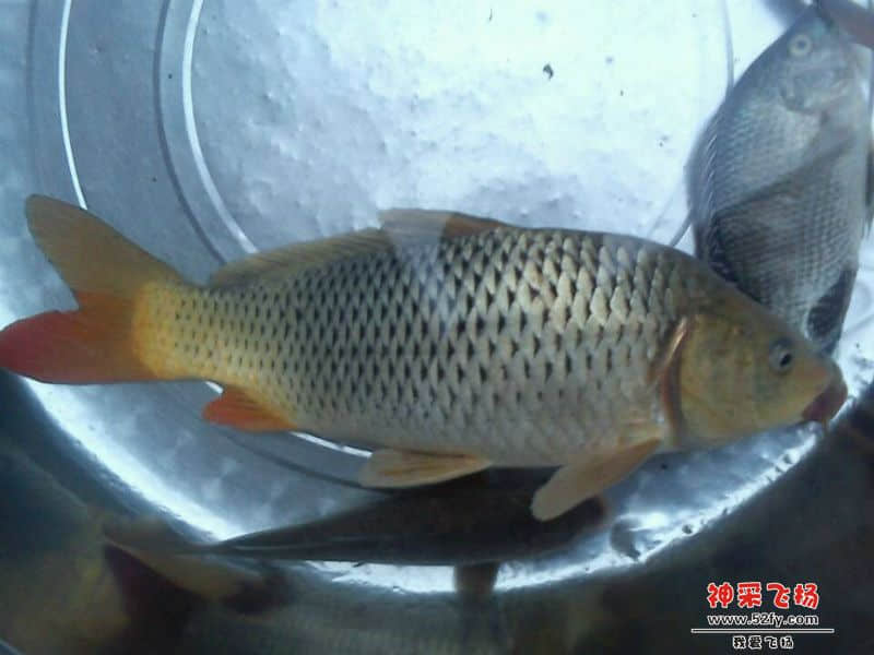 未命名1.jpg