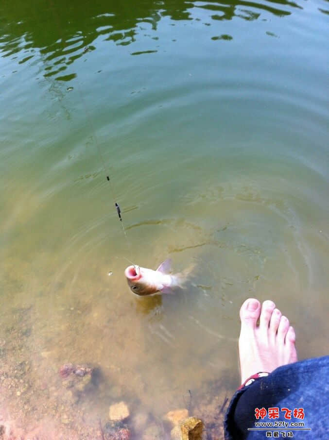 QQ图片20131006124543.jpg