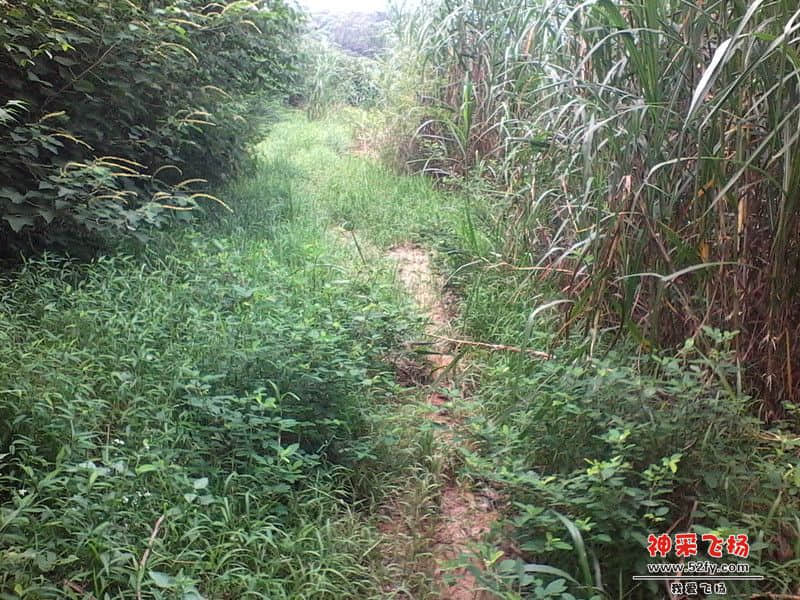 IMG_20130820_121738_副本.jpg