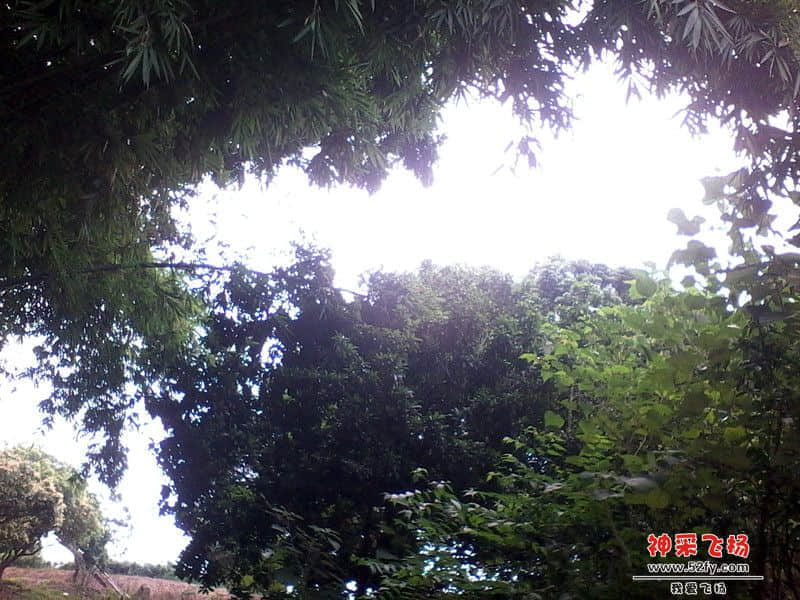 IMG_20130820_121931_副本.jpg