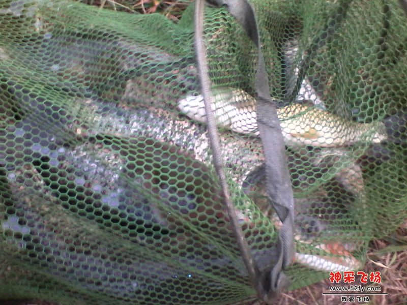 IMG_20131005_180310_副本.jpg
