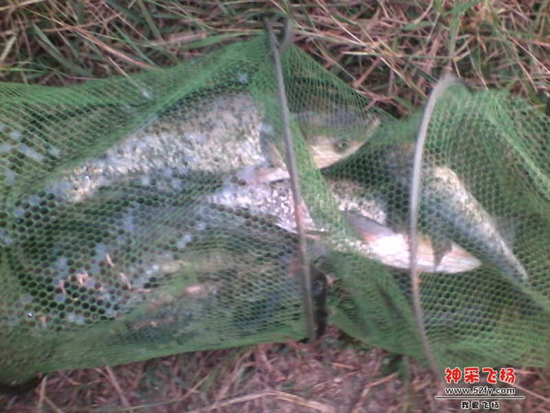 IMG_20131005_180319_副本.jpg