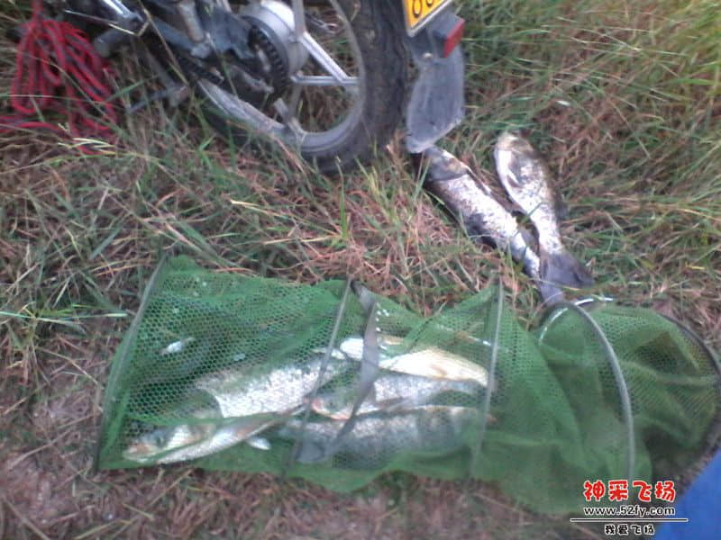 IMG_20131005_180416_副本.jpg