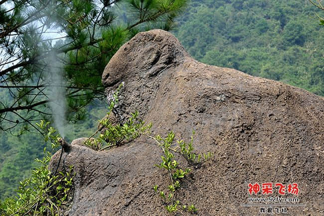 _DSC2009a.jpg