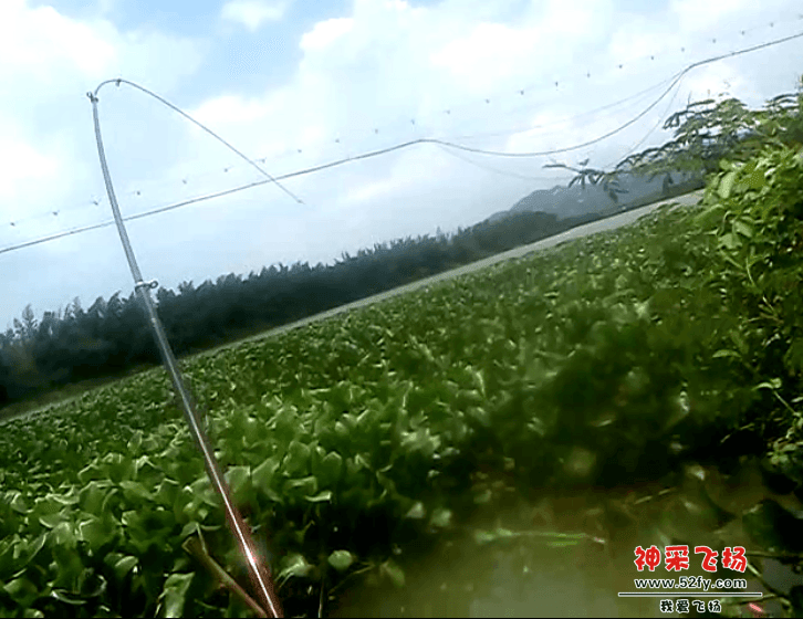 QQ截图20131017070209.png