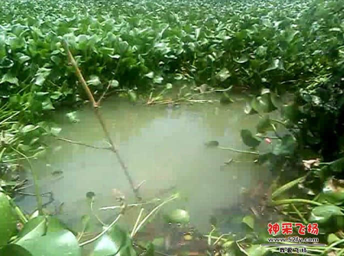 QQ截图20131017071143.jpg