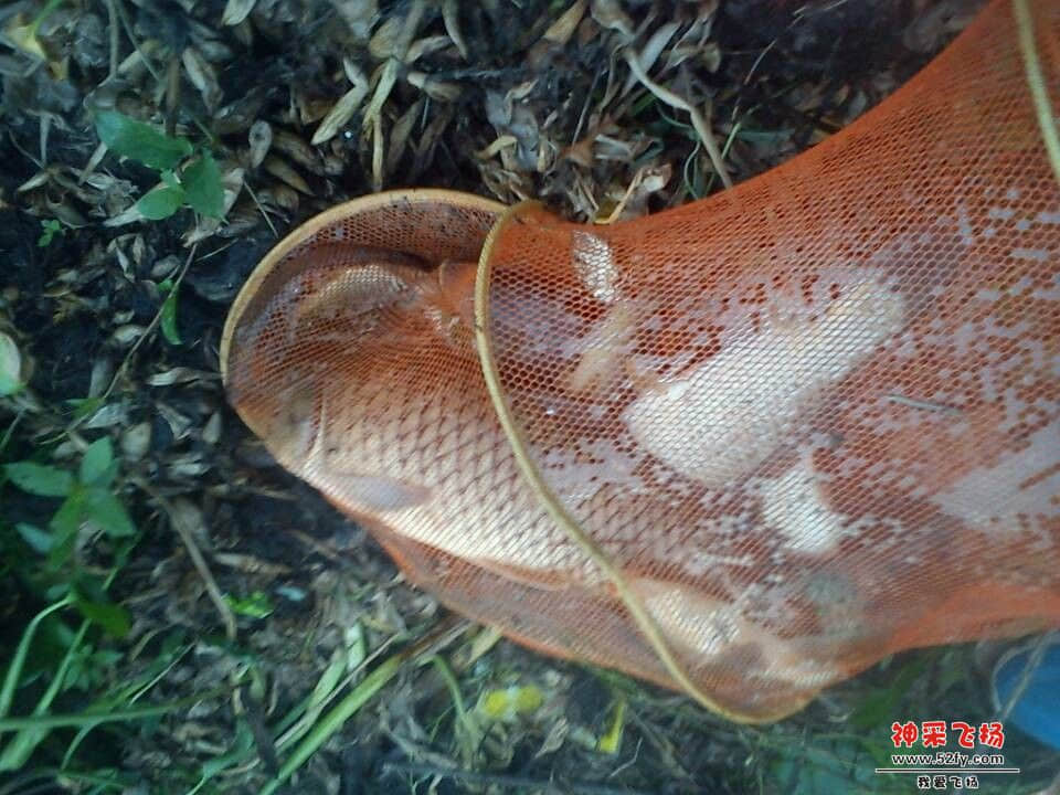 QQ图片20131017071357.jpg