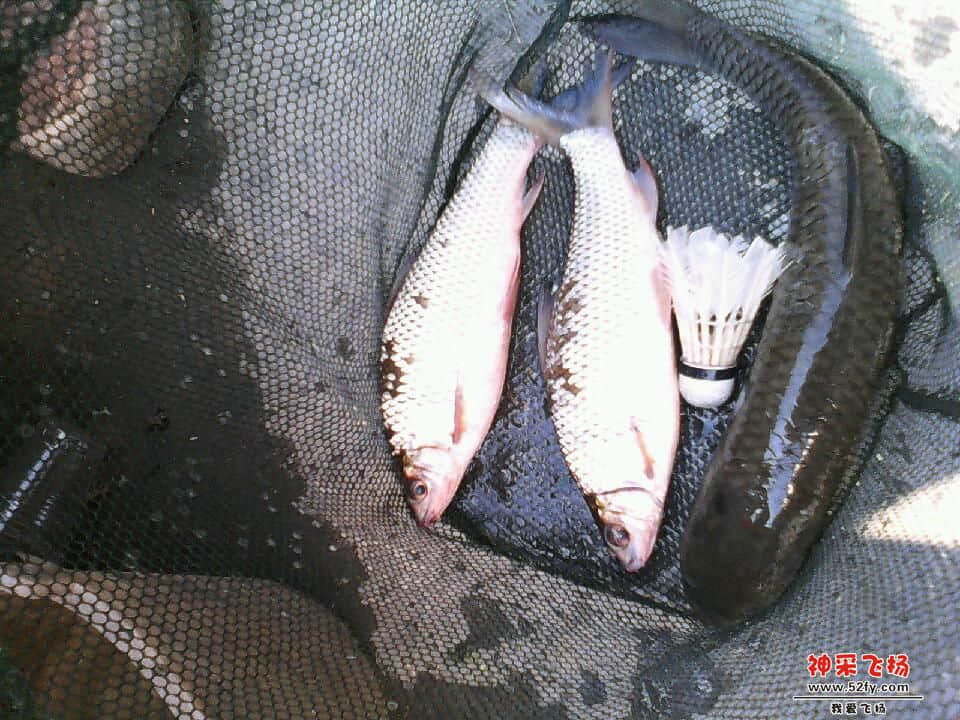 IMG_20131020_111659832.jpg