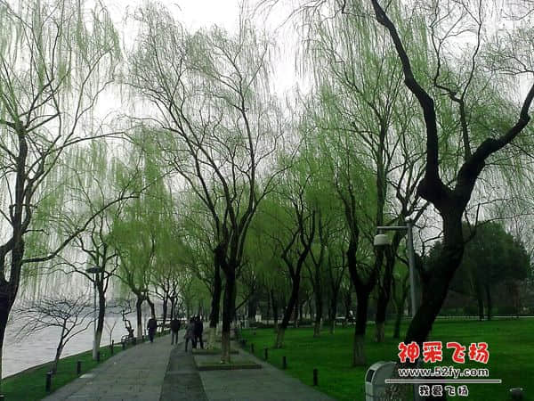 20100302396.jpg
