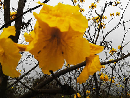 2013-03-16 11.18.22.jpg
